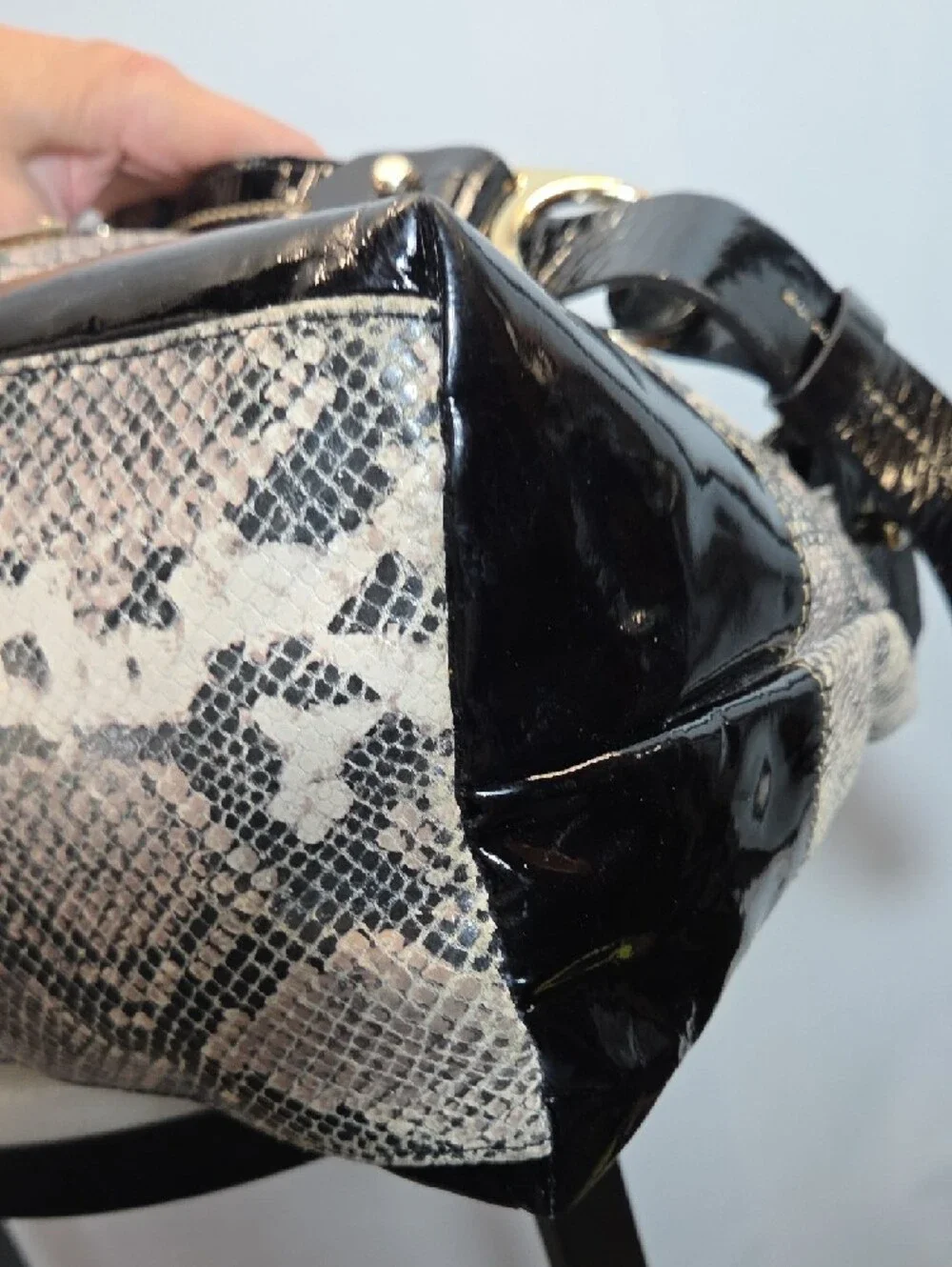 Dooney & Bourke Black and Cream Leather Snake-Print Hobo Bag
